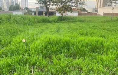 Imagem 5: LOTE NO JARDIM ATLÂNTICO