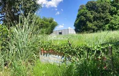 Imagem 5: TERRENO / LOTE COMERCIAL EM GOIÂNIA-GO - PARQUE OESTE - SETOR VELOSO - 2.929m2