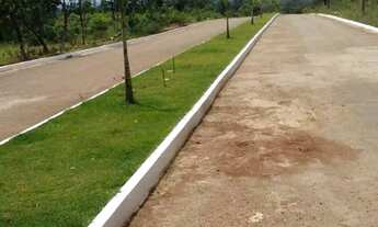 Imagem 5: Lotes no bairro paraíso