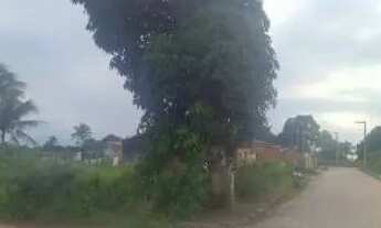 Imagem 5: Vende se terreno povo abóboras