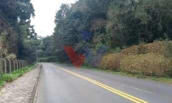 Imagem 2: Terrenos Amplos na Rua Mato Grosso Potencial para Condomínios e Investimento