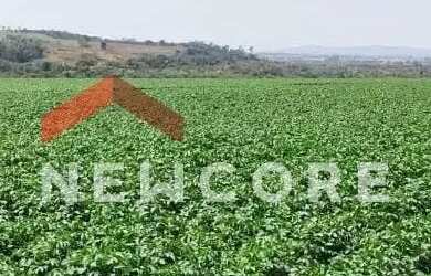 Imagem 3: Sítio em Rua Saldanha Marinho - Centro - Itapetininga/SP