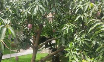 Imagem 5: CONTAGEM - Casa Padrão - Kennedy