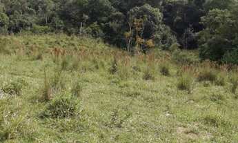 Imagem 5: Itapetininga-Sp, Sitio 17 Alqueires