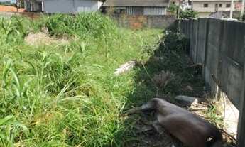 Imagem: Terreno à venda, 471 m² por R$ 550.000,00