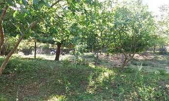 Imagem 4: Porto Alegre - Terreno Padrão - Boa Vista do Sul