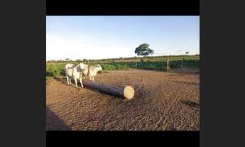 Imagem 3: Faz 158 Alq oportunidade 70 mil o Alqueires