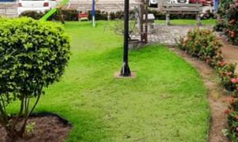 Imagem 4: Apartamento nascente de 3 Quartos com suíte e Varanda