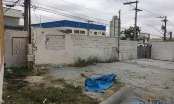 Imagem 3: AREA - VILA PALMARES - SP