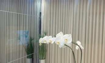 Imagem 3: Excelente Apartamento Reformado no Porcelonato e com Armários, 35m² com 1 quarto/Suit