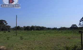 Imagem: Terreno à venda por R$ 7138000.00, 115000.00