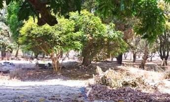 Imagem 6: Rural chacara com 2 quartos - Bairro Independência das Mansões em Aparecida de Goiânia