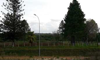 Imagem 4: Pelotas - Terreno Padrão - Distrito Ponte Cordeiro de Farias