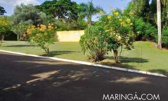 Imagem: Chacara em Maringa