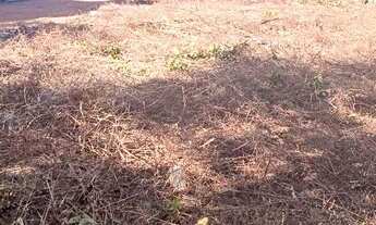 Imagem 5: Vendo Lote no Condomínio Sião em Palmas/TO