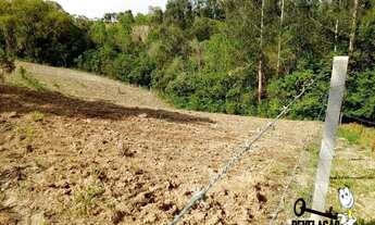 Imagem 4: Chácara à venda, 4000 m² por R$ 365.000 - Zona Rural - Quitandinha/PR