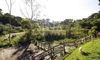 Imagem 7: Casa / Venda Casa com 3 dormitórios