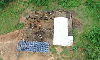 Imagem 5: Propriedade de 15 alqueires