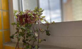 Imagem 3: Apartamento Apartamento com 2 dormitórios