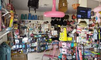 Imagem 3: Vendo uma loja petshopp