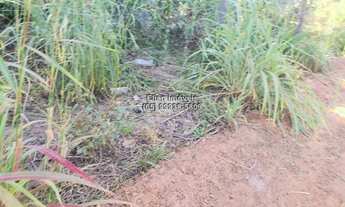 Imagem 3: Terreno à venda no município de Santo Antônio de Leverger-MT