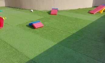 Imagem 6: Vendo apartamento novo