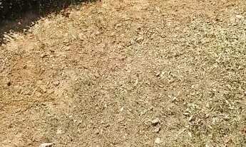 Imagem 4: Mairiporã direto com proprietário