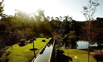 Imagem 2: Terreno-À VENDA-Fazenda Santo Antonio das Paineiras-Morungaba-SP