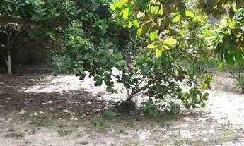 Imagem 7: Terreno no Plaza Garden