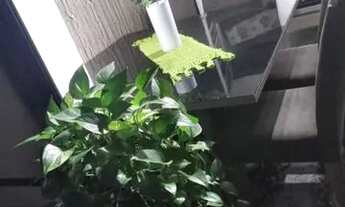 Imagem: Sobrado com 2 dormitórios à venda por