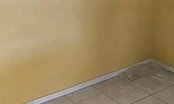 Imagem 6: Vendo apartamento no terminal de ônibus se Barra de Jangada