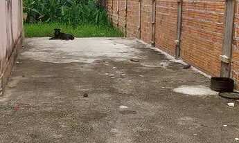 Imagem 3: Alugo casa Casa com 2 dormitórios