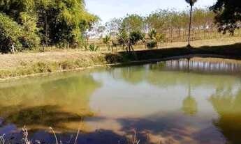 Imagem 4: Vende-se seringueira