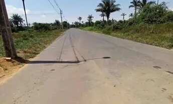 Imagem 5: Lote Chácara Janauary 3