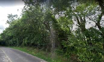 Imagem 2: Área para venda com 24.373 m2 no bairro Ganchinho em Curitiba