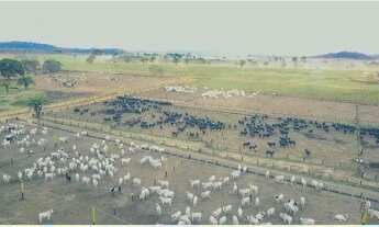 Imagem 6: Fazenda a venda com Dupla Aptidão Região de Juara MT