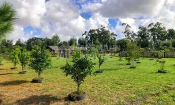 Imagem 4: Sítio com casa nova em alvenaria, piscina e horta no Túnel Verde