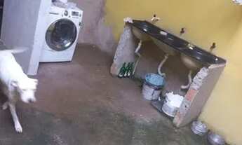 Imagem 2: Venda de imóvel