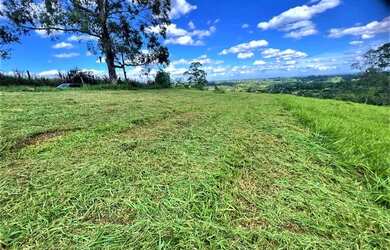 Imagem 6: Fazenda/Sítio/Chácara para venda tem 1000 metros quadrados com 1 quarto em Itacolomi - Gra