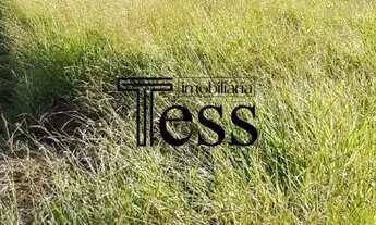 Imagem 2: Vende terreno Bairro Moisés Miguel Haddad com 1188m2, plano , face sombra Zona Sul