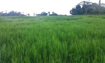Imagem 3: Fazenda a venda com Dupla Aptidão Região de Juara MT