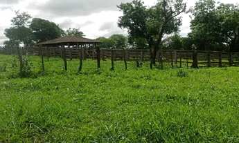 Imagem 2: FAZENDA À VENDA EM NORTE DE MINAS