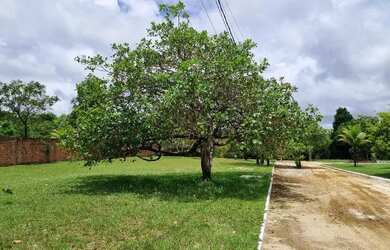 Imagem 2: Lotes 51 e 52 do condomínio BounganviIIe. Recife-PE caminho de Aldeia