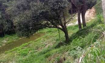 Imagem 2: Chácara 3.700mts rio a cima Alagoa mg