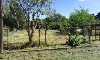 Imagem 4: Terreno Chácara