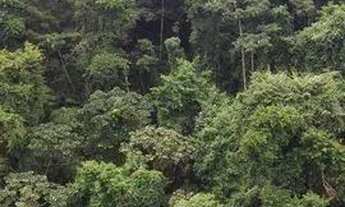 Imagem 6: Apartamento com 3 dormitórios, 116 m² - venda por R$ 930.520,00 ou aluguel por R$ 6.172,20