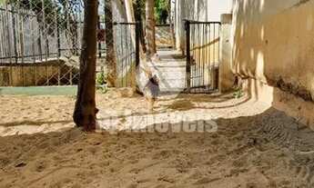 Imagem 5: Apartamento mobiliado de 2 dormitórios na Vila Mascote