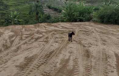 Imagem 3: Terreno Piaçu/Muniz Freire