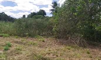 Imagem 7: 9.075 terreno 3 tarefas