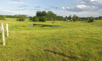 Imagem 5: Maravilhosa Área de terra 2.3 hectares Porteira fechada em Glorinha de barbada!!!!